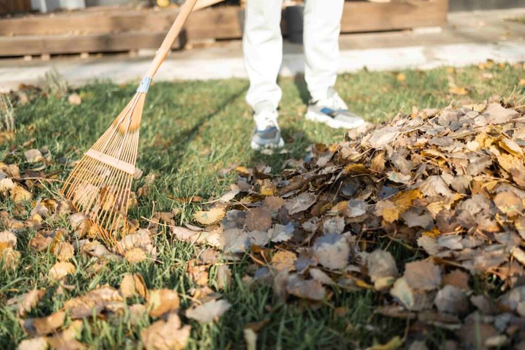 Yard Waste Removal Services